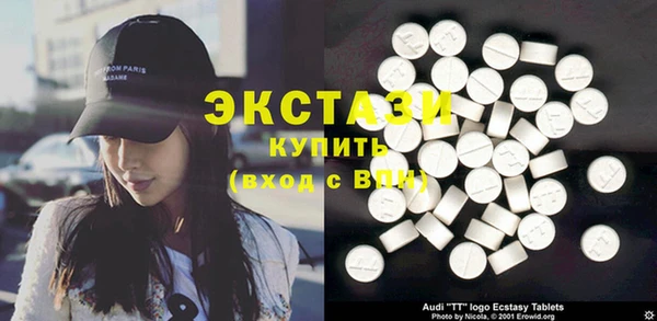 индика Богородицк