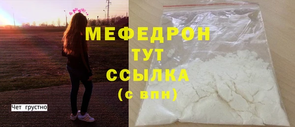 индика Богородицк