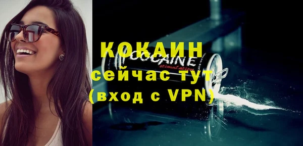 индика Богородицк