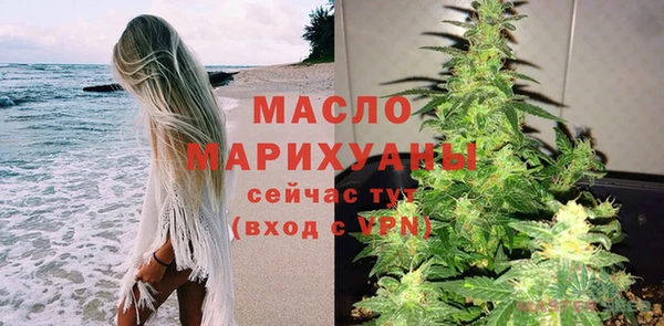индика Богородицк