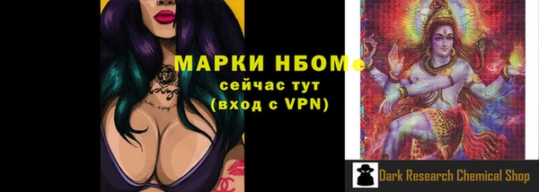 индика Богородицк