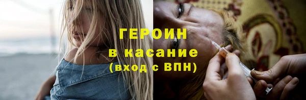 индика Богородицк