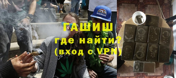 индика Богородицк