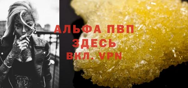 индика Богородицк