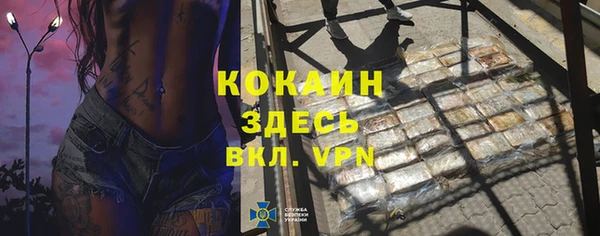 индика Богородицк