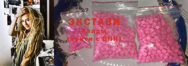 индика Богородицк