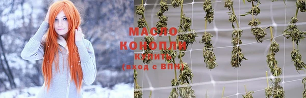 индика Богородицк