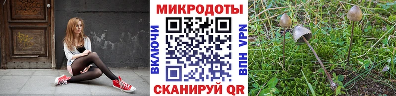 Псилоцибиновые грибы Psilocybine cubensis  Купить закладки  Мариинск 
